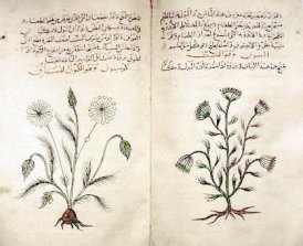 Renessaince philosophy and science