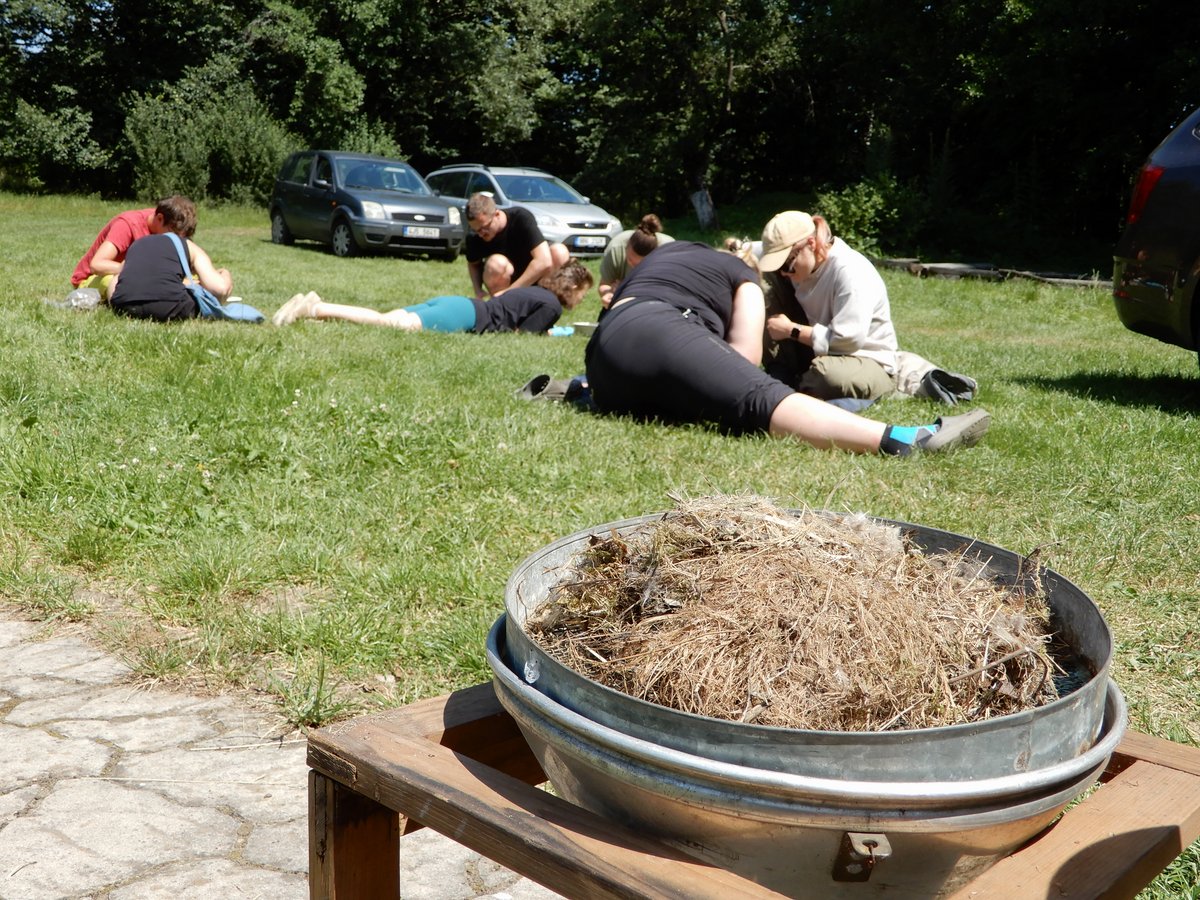DSCN0171.JPG