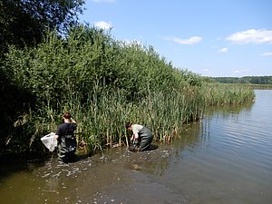 DSCN0183.JPG