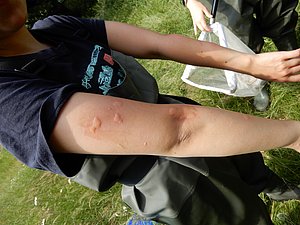 DSCN0190.JPG