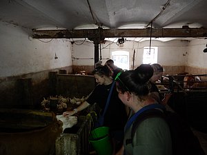 DSCN0194.JPG
