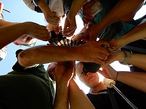 DSCN0205.JPG