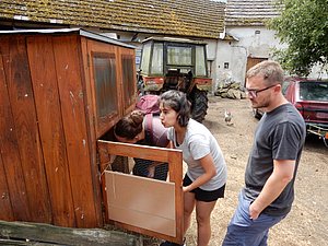 DSCN0238.JPG