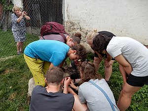 DSCN0246.JPG