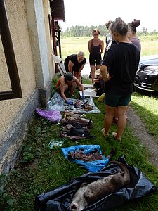 DSCN0256.JPG
