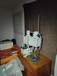 IMG20240628223200.jpg