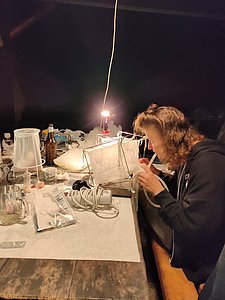 IMG20240629093205_01.jpg