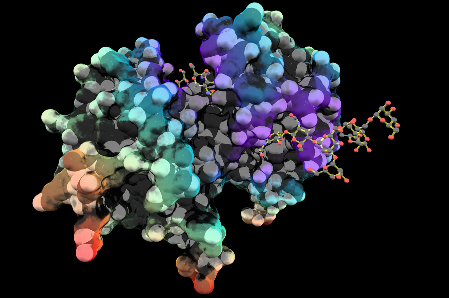 Kenhub - A structure of highest sociobiological importance: The