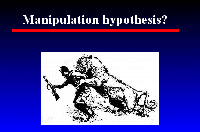 Slide 6