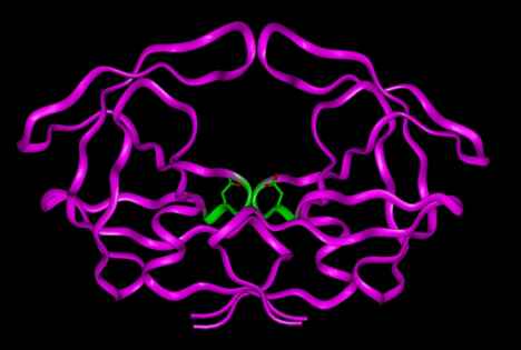 HIV-protease